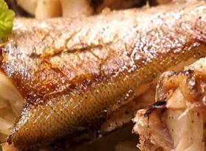 Минтай в духовке - диетические рецепты морской рыбы