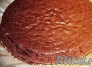 Рецепт бисквитного торта с ванильным пудингом Торт с пудингом и желе