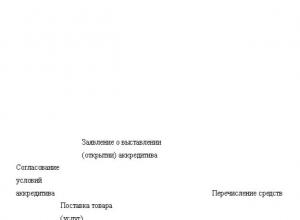 Учет денежных средств в бюджетном учреждении 1