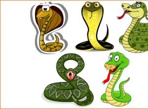 Snake in the mythology of different times and peoples