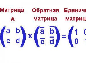 Algorithm for calculating the inverse matrix using algebraic complements: the adjoint (union) matrix method